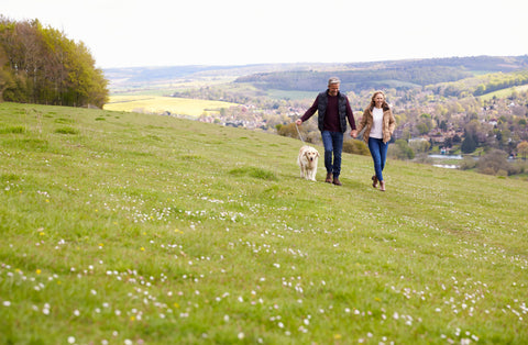 Time well spent: the science behind why being in the countryside if good for you